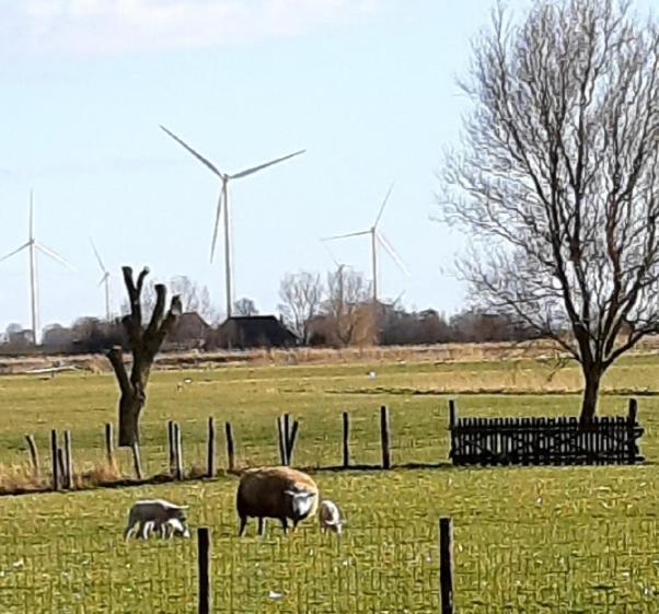 Tuinhuis Lutjewinkel المظهر الخارجي الصورة